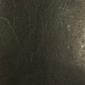 Vero Ink