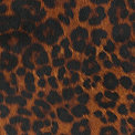 Dark Leopard
