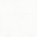 White Pigmented Leather