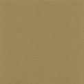 Pigmented Leather