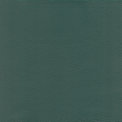 Teal Pigmented Leather
