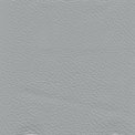 Blue Pigmented Leather