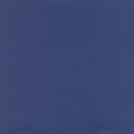 Blue Pigmented Leather