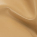 Sutton Sahara