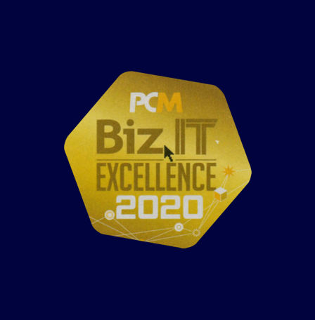 IT Solutions Excellence Recognition Program 