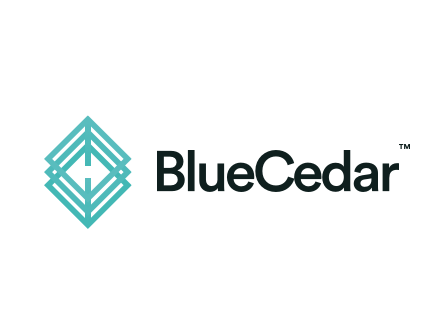 Blue Cedar Networks Inc.