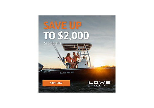 Lowe 2022 Sales Promo_Display Ad_250x250