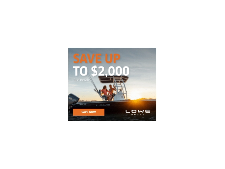 Lowe 2022 Sales Promo_Display Ad_300x250