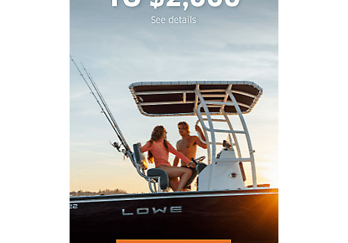 Lowe 2022 Sales Promo_Display Ad_300x600