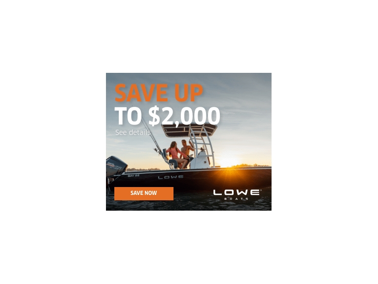 Lowe 2022 Sales Promo_Display Ad_336x280