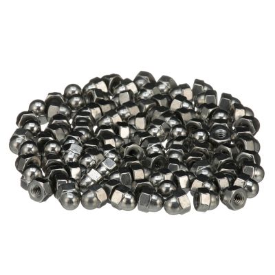 10-24 CAP ACOR NUT SS 100/BG