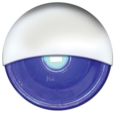 MINI LIVEWELL LIGHT SS BLUE