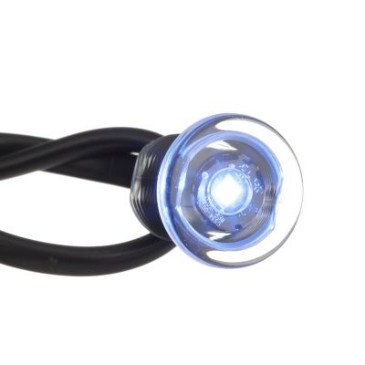MINI LIVEWELL LIGHT SS BLUE
