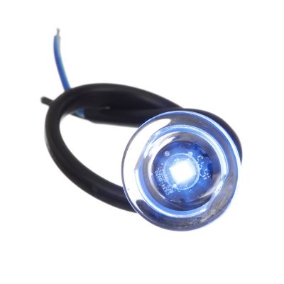 MINI LIVEWELL LIGHT SS BLUE