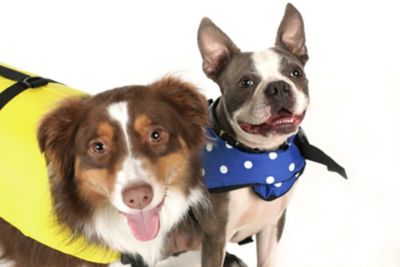 DOG VEST XXSMALL – UP TO 6LBS