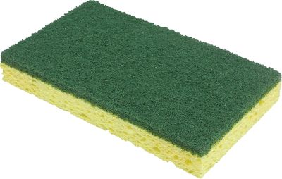 2-IN-1 SCRUBBER/SPONGE