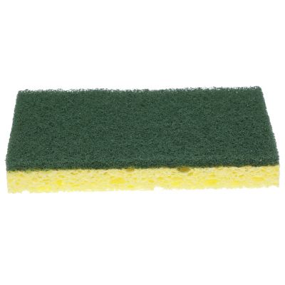 2-IN-1 SCRUBBER/SPONGE