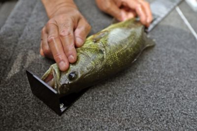 Lund® Renegade 1975 - 19 Foot Mod V Bass and Crappie Fishing Boat