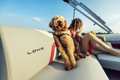 SSPontoon230CL-DogSeat-4B9A4226