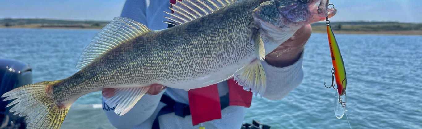 Sept 22 blog-Best Lakes for Fall Walleye Fishing Crestliner boats Pro Jason Mitchell Top Picks
