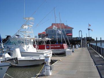 Charleston City Marina