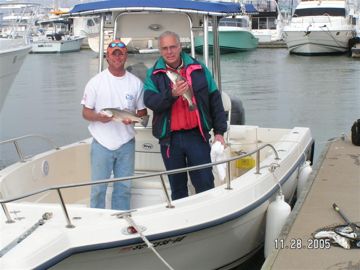 Charleston City Marina