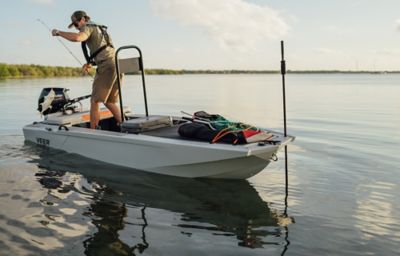 Shallow water anchor