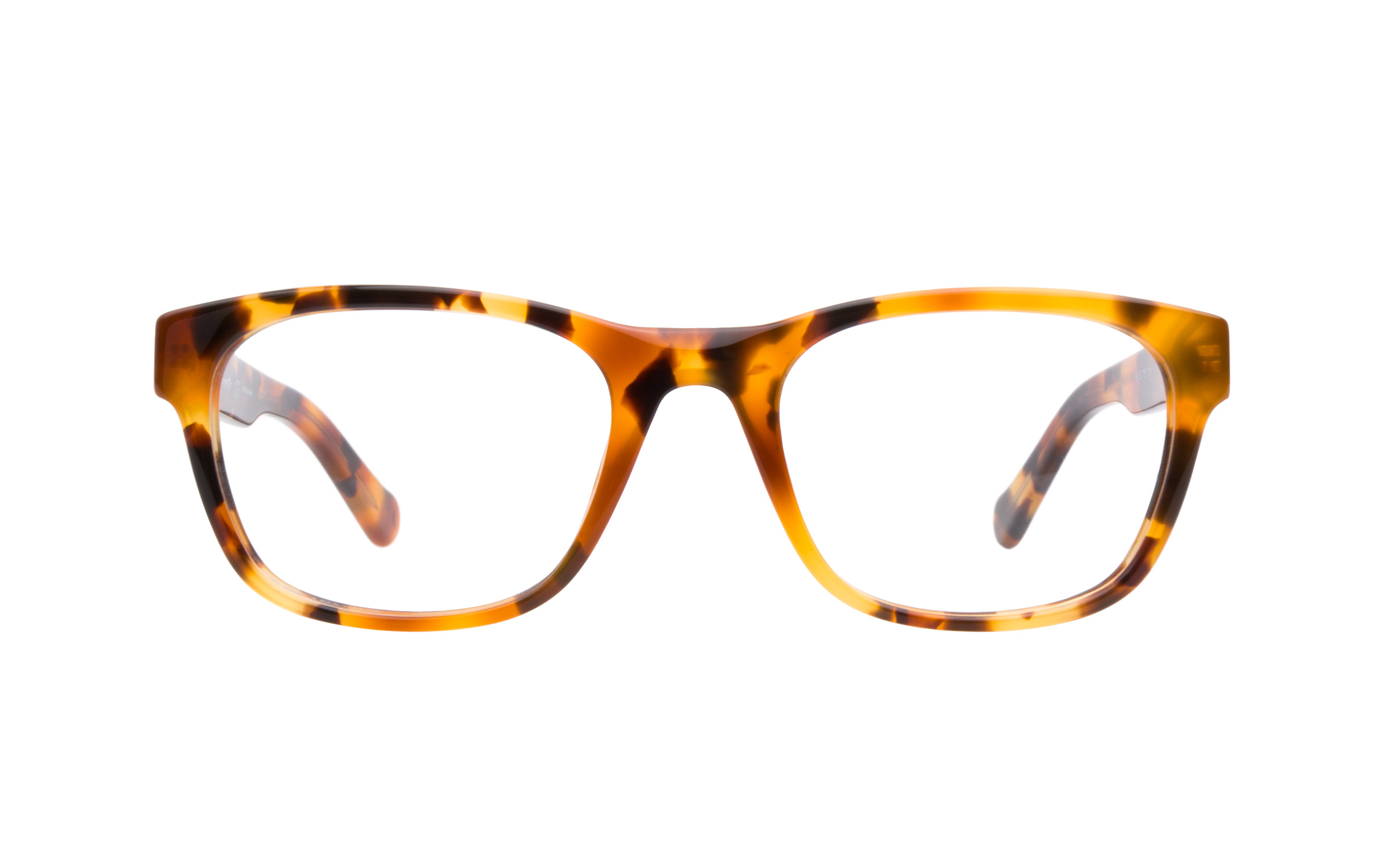 Arnette Men's Glasses Tortoise Acetate Online Coastal