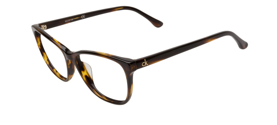 calvin klein havana glasses