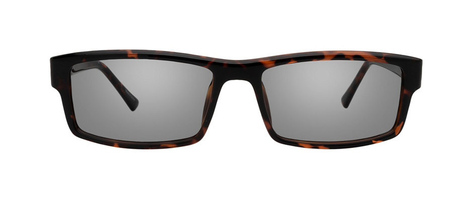 product image of Clearly Basics Dryden-53 Tortoise