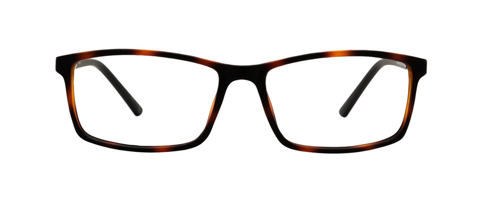 product image of Clearly Basics Gravelbourg-55 Tortoise