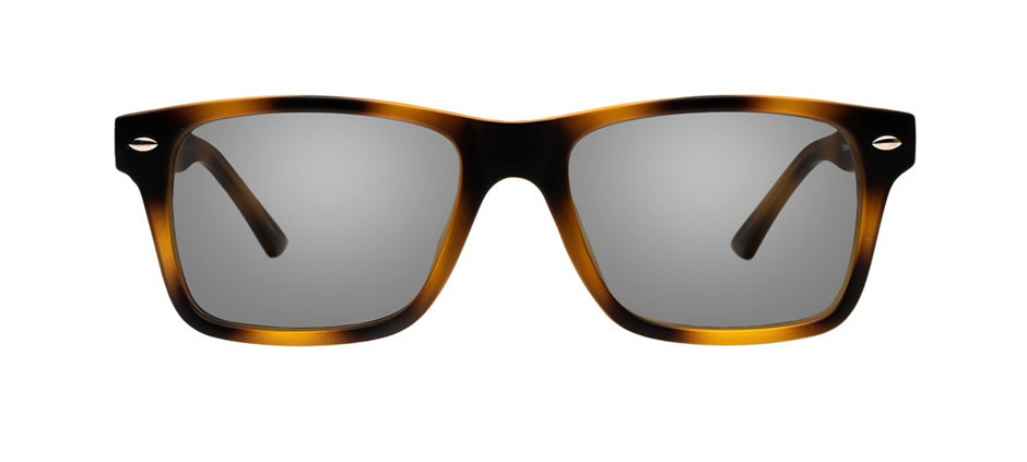 product image of Clearly Basics Steinbach-53 Matte Tortoise