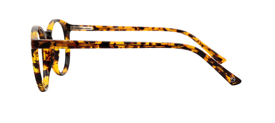 product image of Clearly Basics Swift Current-48 Tortoise