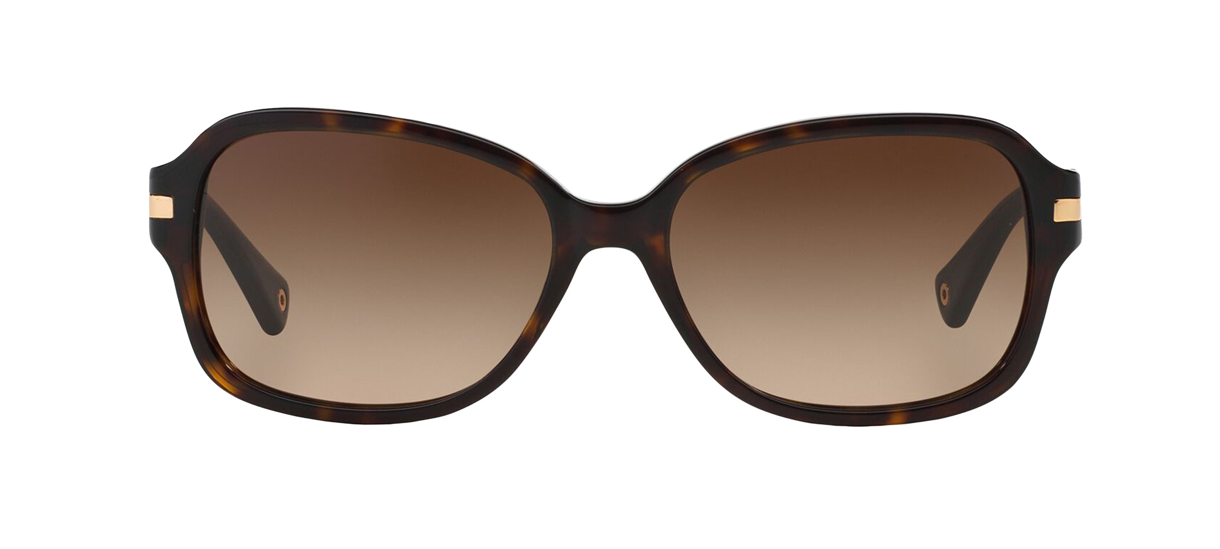 product image of Coach HC8105-58 Dark Tortoise
