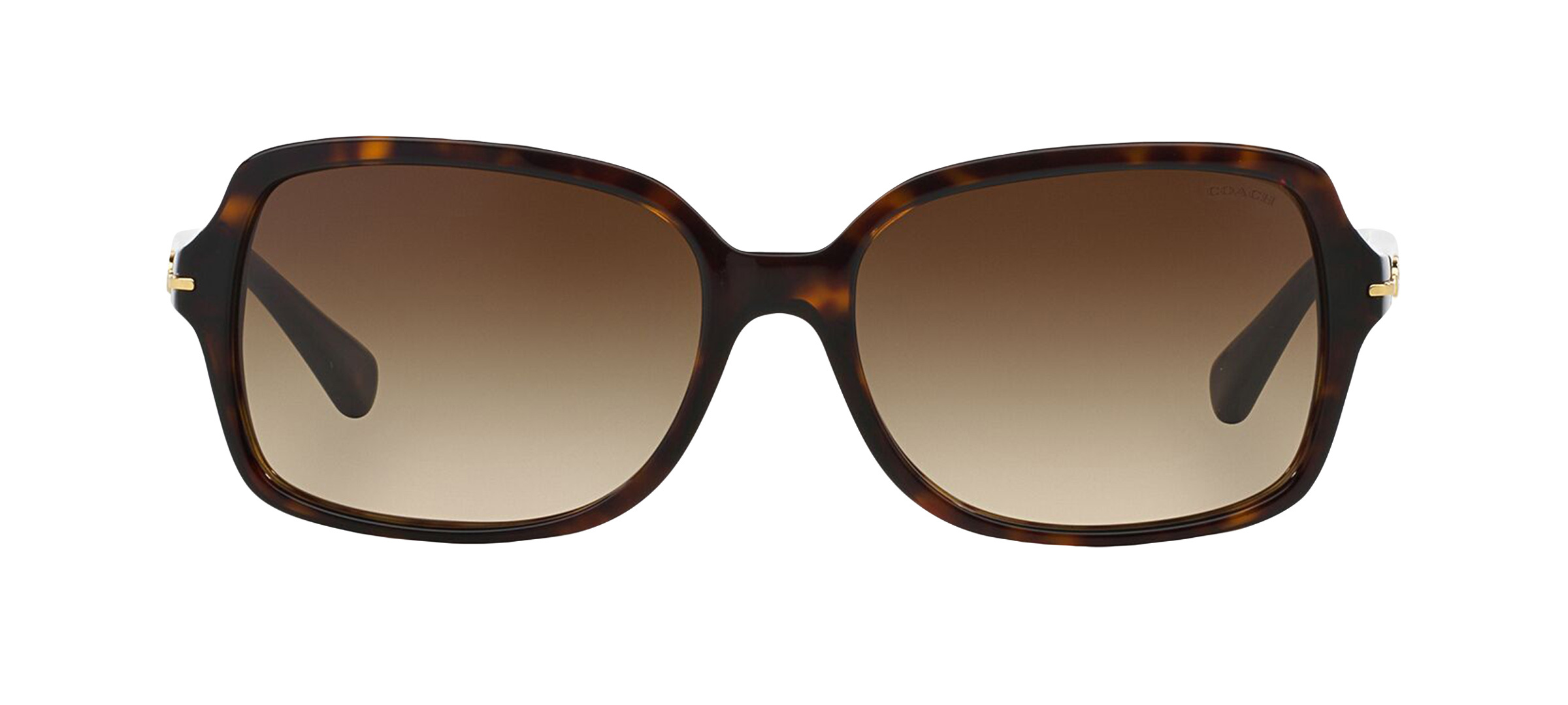 product image of Coach HC8116-56 Dark Tortoise