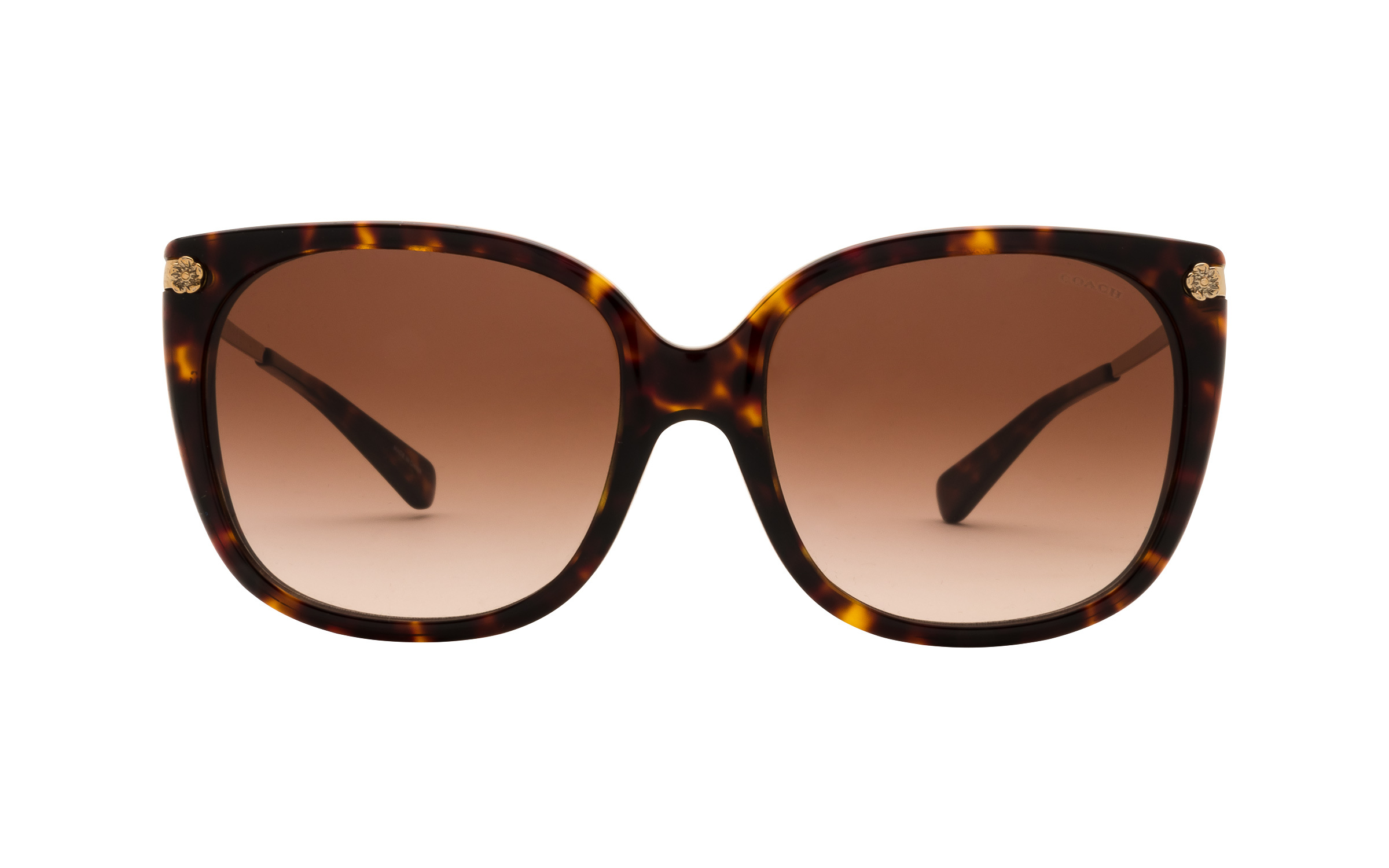 coach sunglasses canada