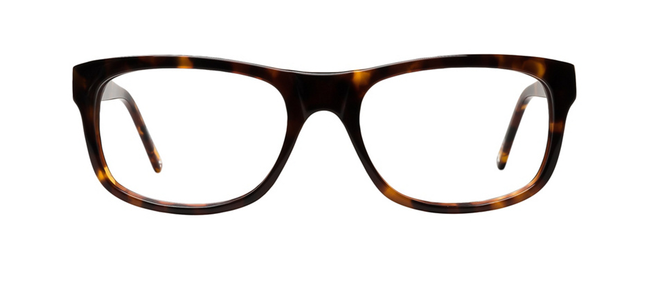 Tortoise Glasses