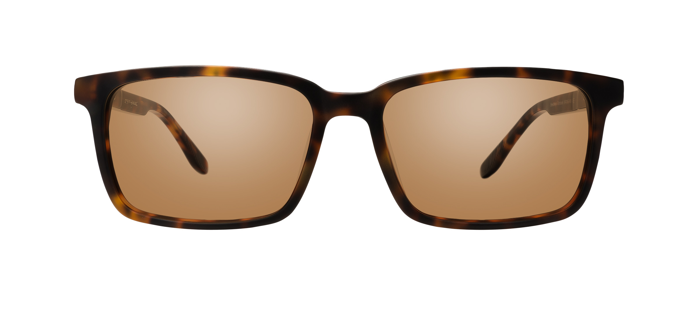 product image of Joseph Marc Beechey-54 Tortoise