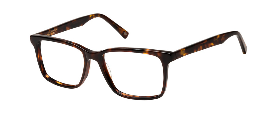 product image of Main And Central Rockhampton-53 Tortoise