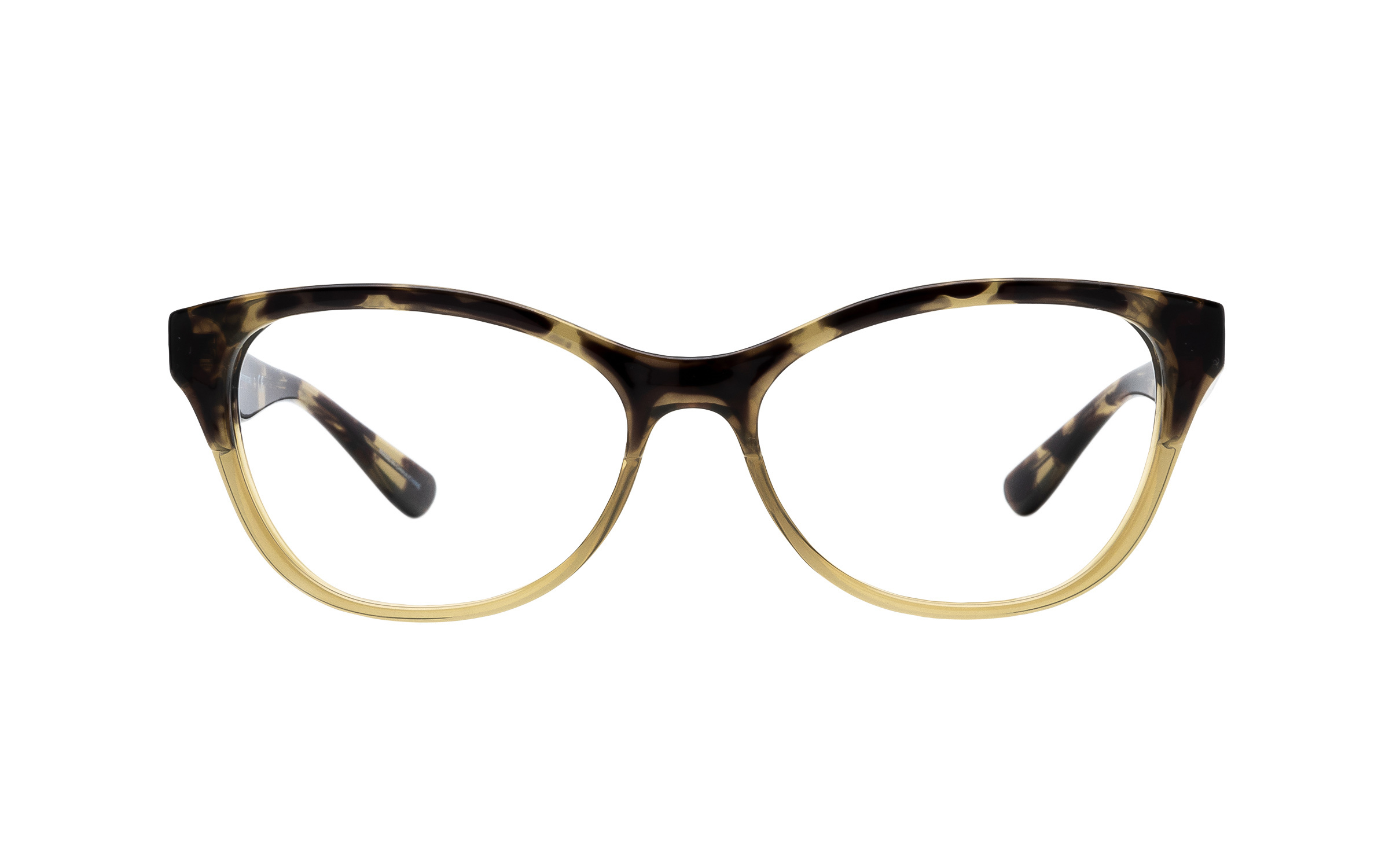 michael kors eyeglasses olive