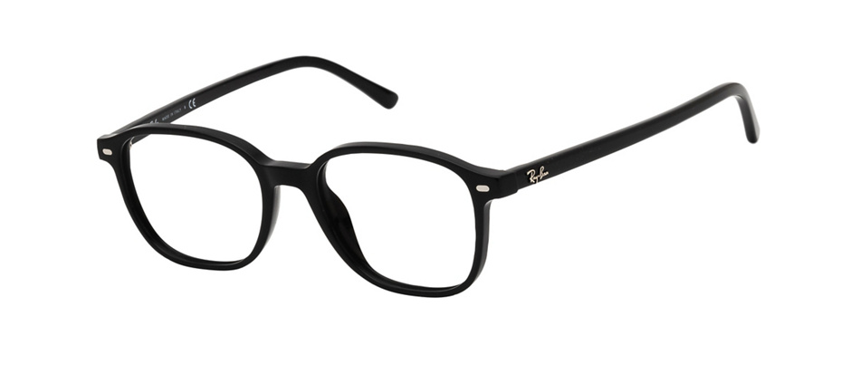 ray ban leonard mens