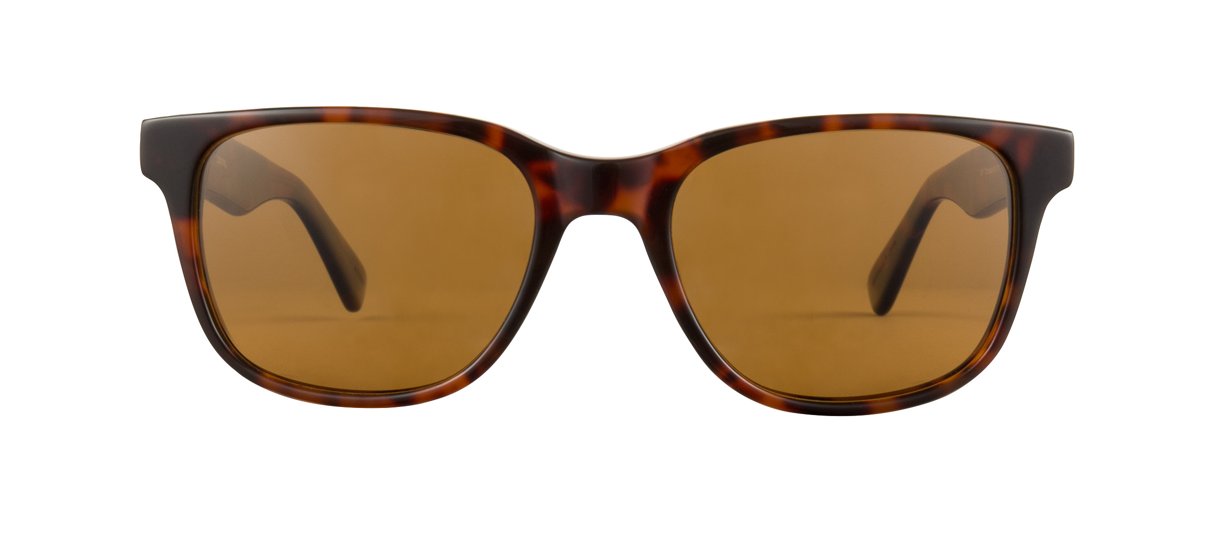 product image of Zooventure Doctor Tortoiseshell