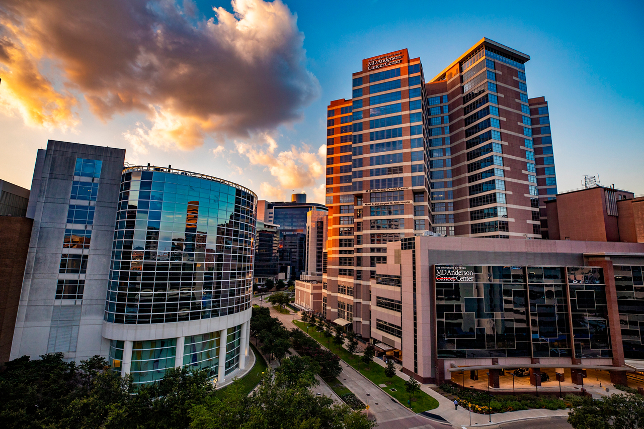 Texas Medical Center, one of the largest in the world and like a city in itself 