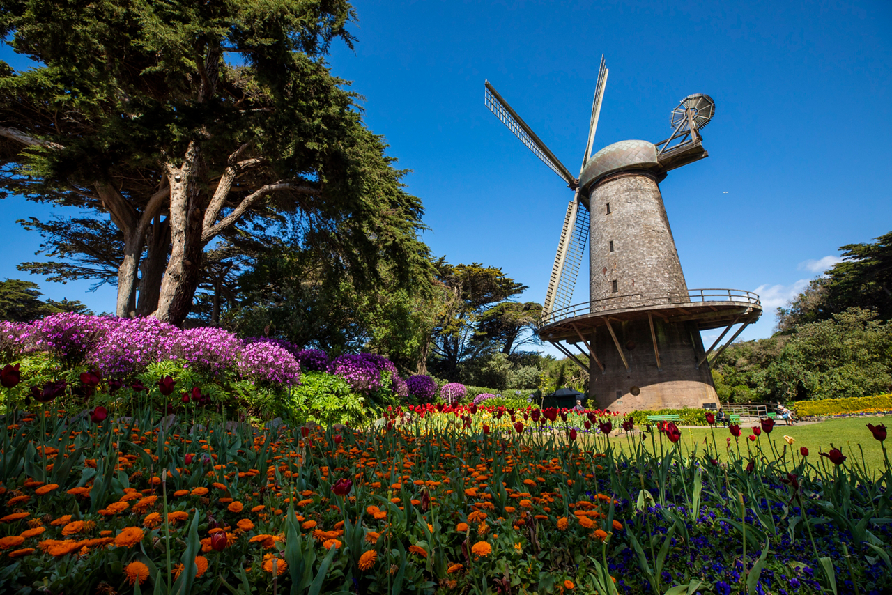 San Francisco Culture Golden Gate Park 