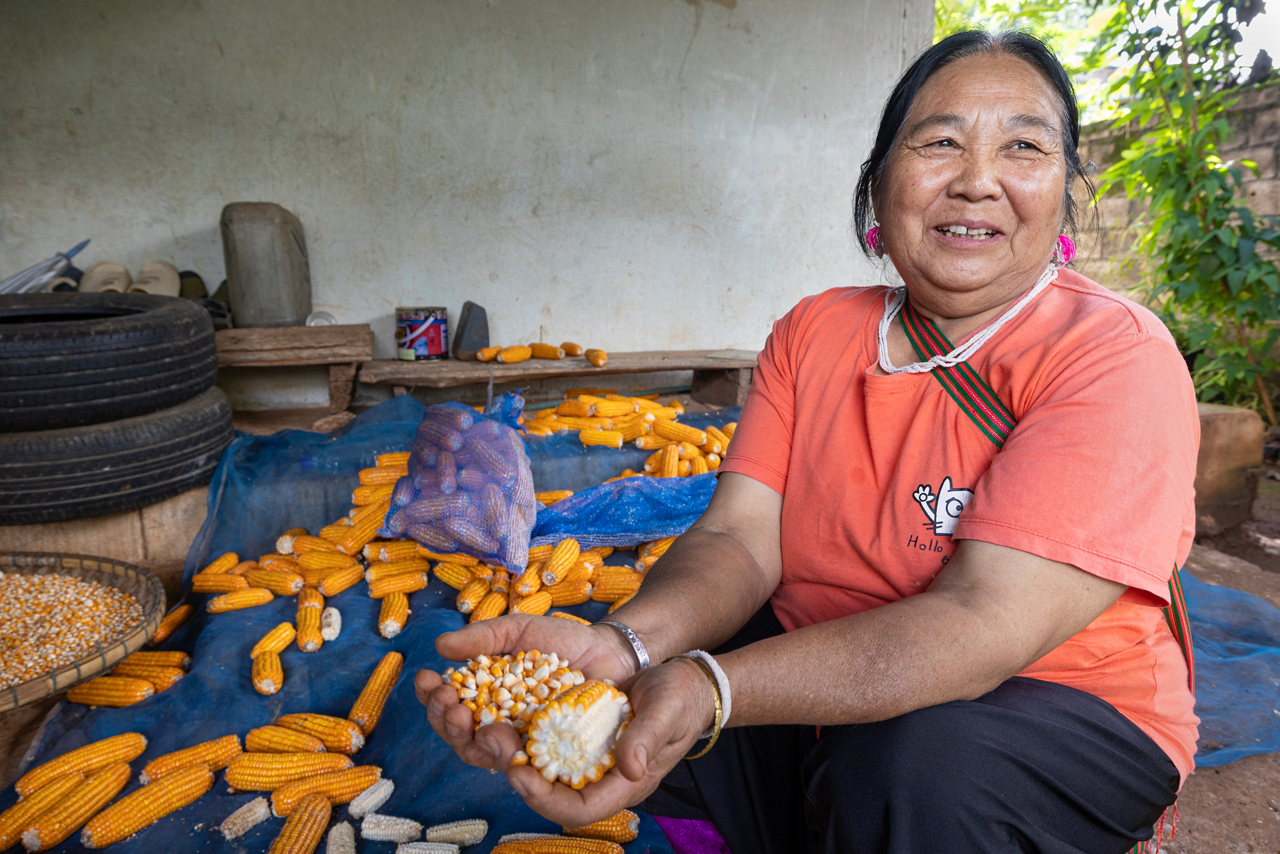 Woman taking corn off the cob