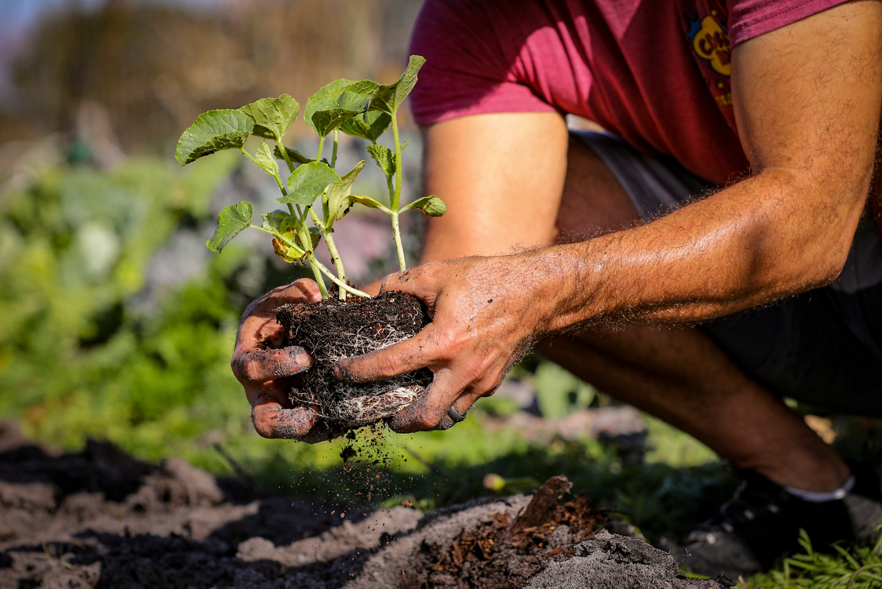 farmer with soil