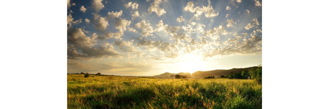 img-search-natural-light