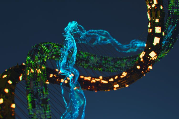 Expanding Machine Learning Applications on the Endpoint