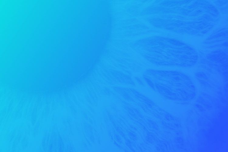 Recently Enhanced Features and Benefits