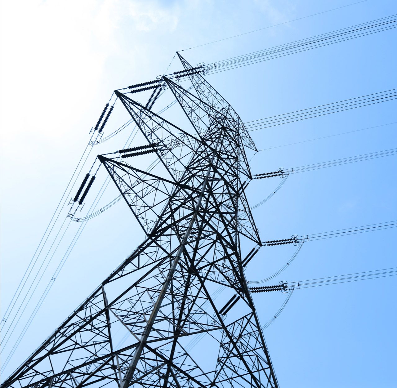 Smart Grids Require Intelligent Security 